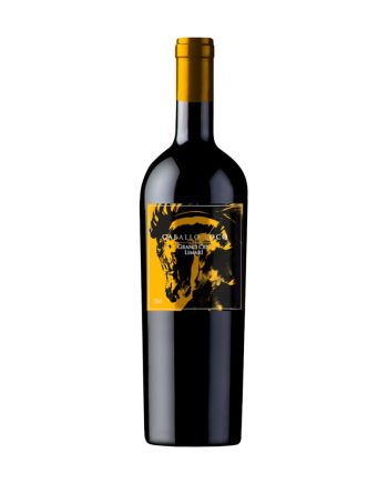 CABALLO LOCO GRAND CRU LIMARI SYRAH