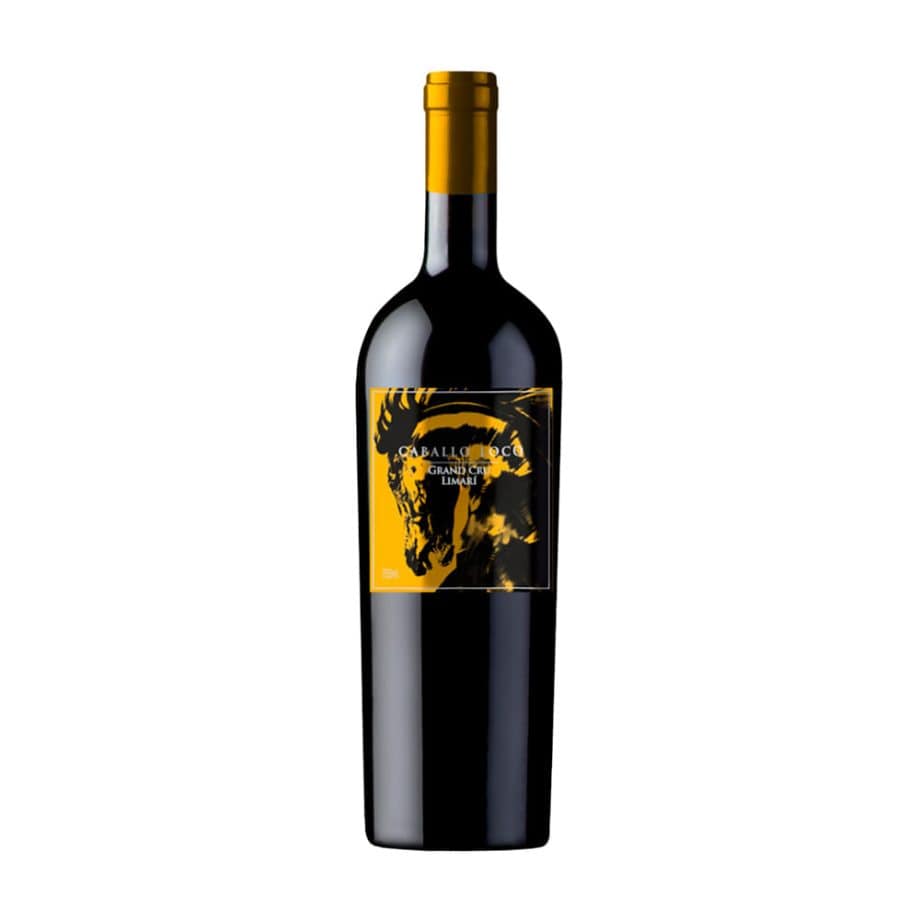 CABALLO LOCO GRAND CRU LIMARI SYRAH
