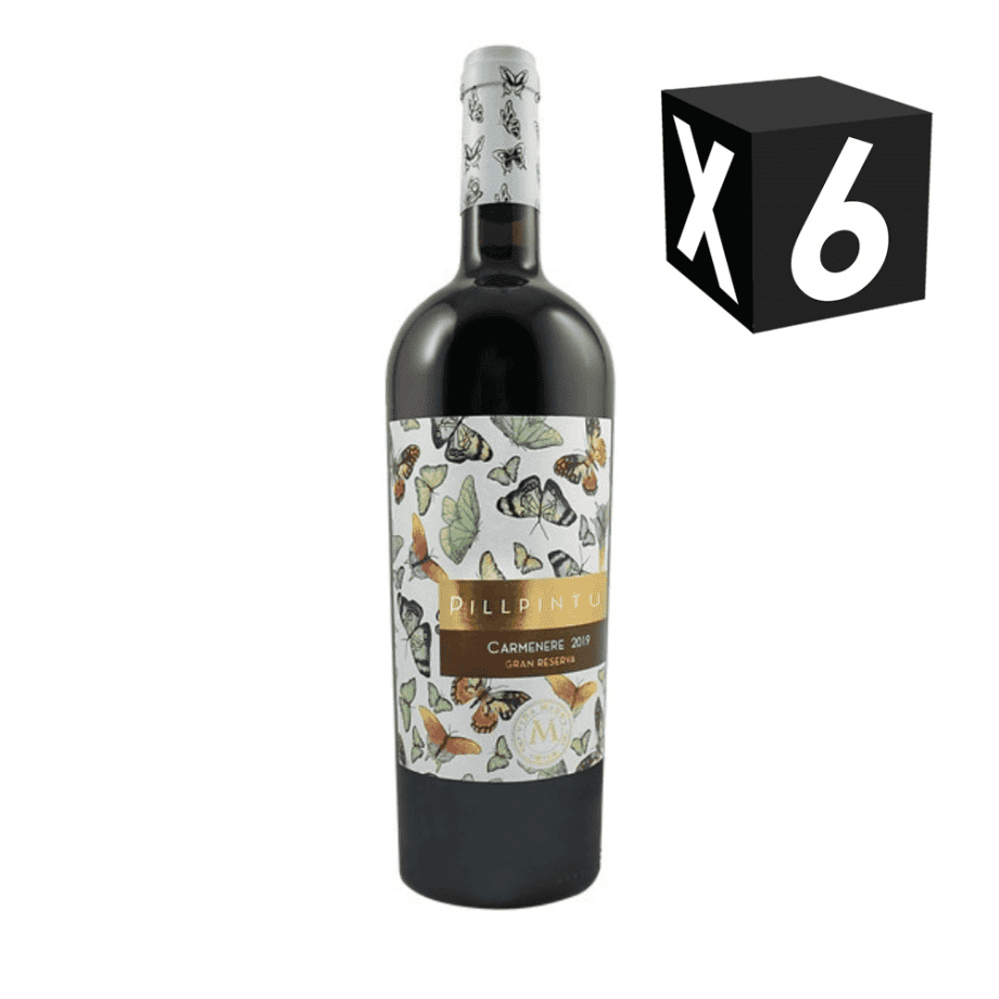Caja X6 - Marty Pillpintu Carmenere 750ml