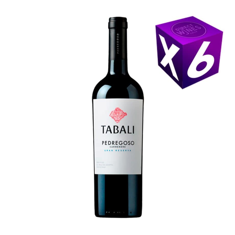CAJA X6 - TABALI PEDREGOSO GRAN RESERVA CARMENERE