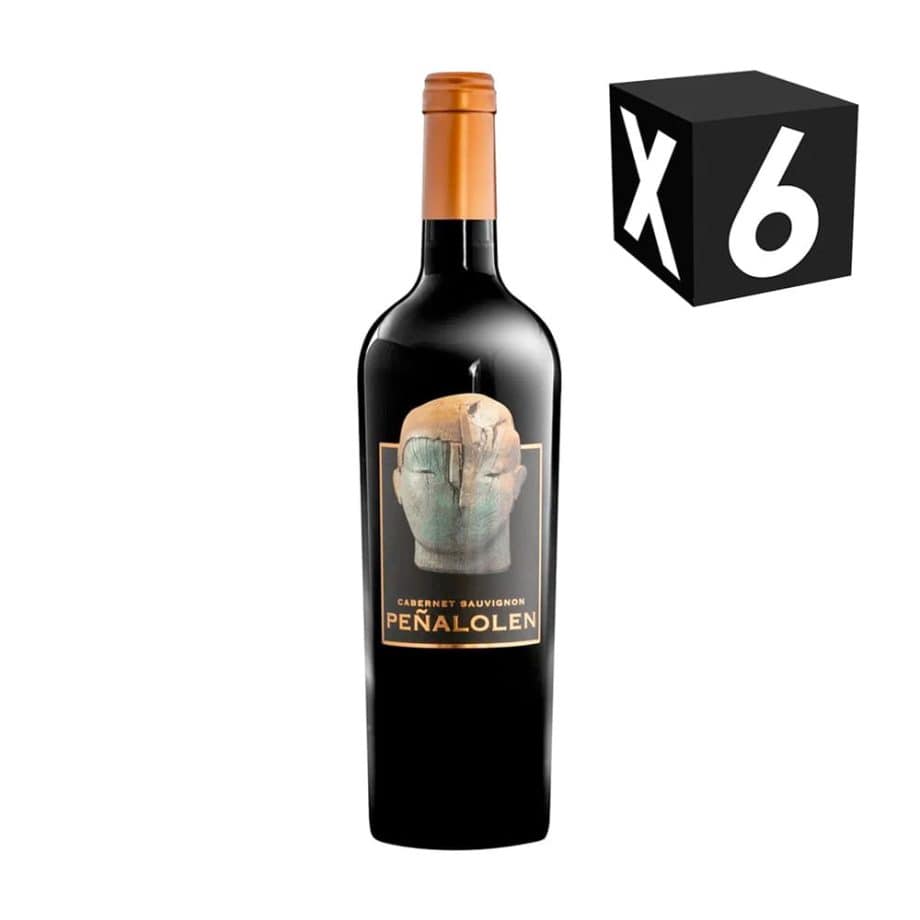 CAJA X6 - VINO PEÑALOLÉN CABERNET SAUVIGNON