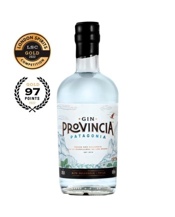 GIN PROVINCIA PATAGONIA