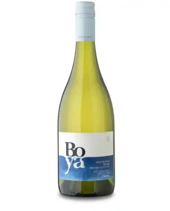 GARCES SILVA BOYA PREMIUM SAUVIGNON BLANC