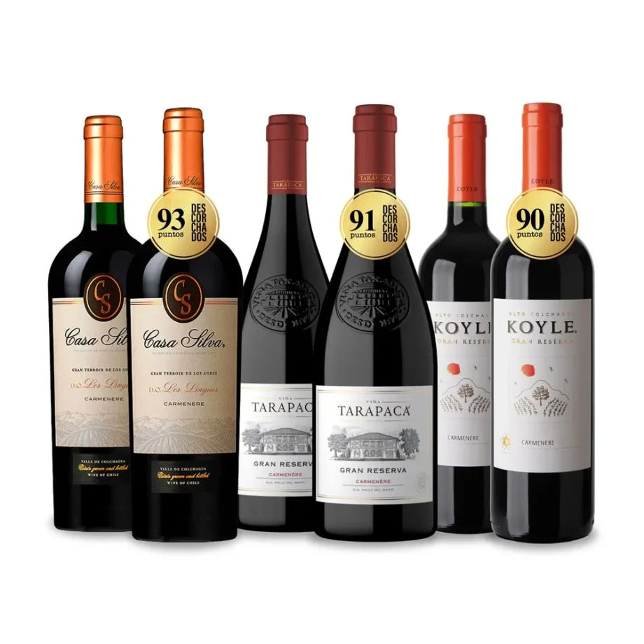 PACK MIX CARMENERE (6 VINOS)