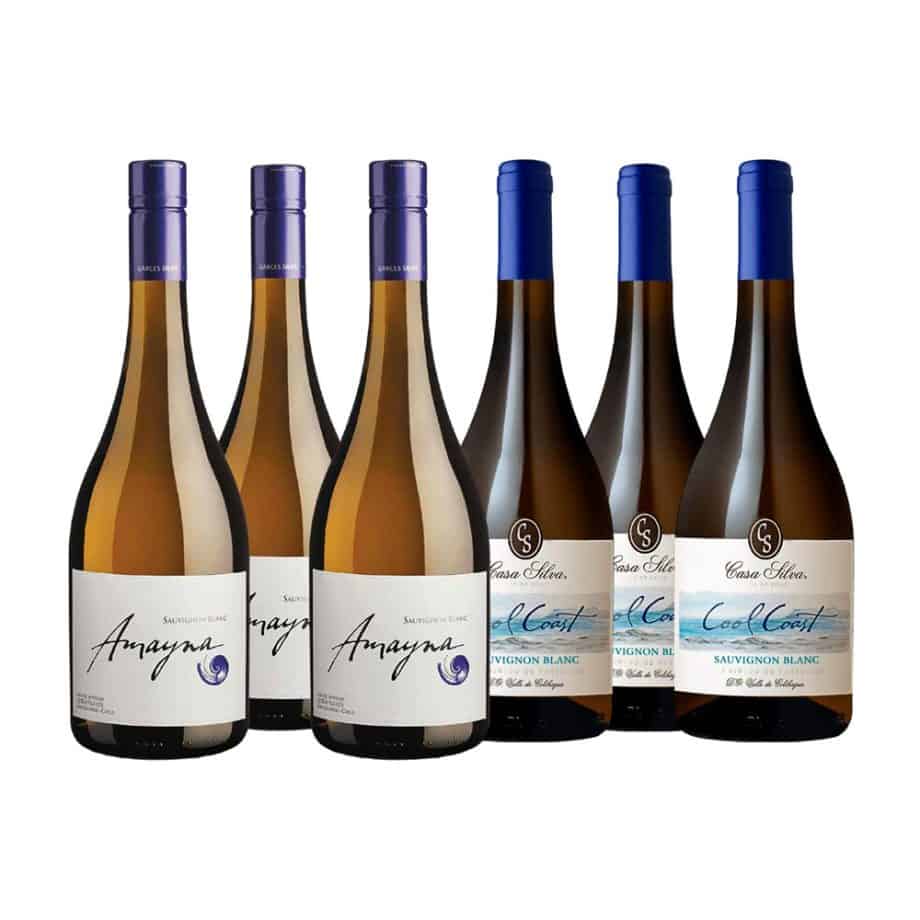 EXPERIENCIA SAUVIGNON BLANC (6 VINOS)