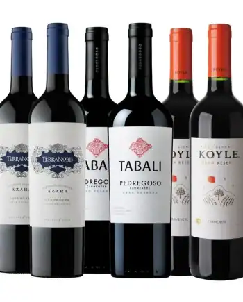 OFERTA - PACK 04 - 6 BOT CARMENERE