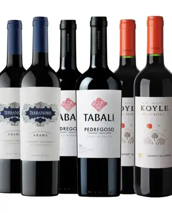 OFERTA - PACK 03 - 6 BOT CABERNET SAUVIGNON