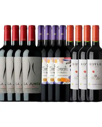 OFERTA - PACK 07 - 12 BOT CABERNET SAUVIGNON