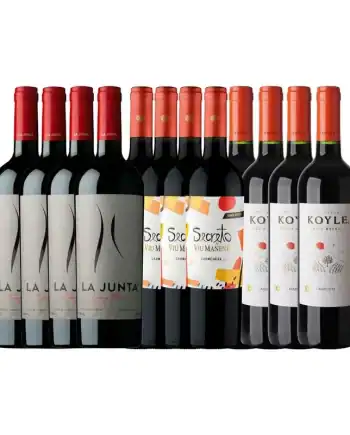 OFERTA - PACK 08 - 12 BOT CARMENERE