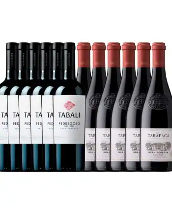 OFERTA - PACK 15 - 12 BOT CARMENERE