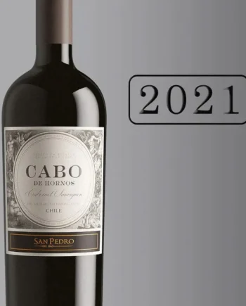 SAN PEDRO CABO DE HORNOS ICONO 2021 CABERNET SAUVIGNON
