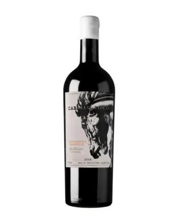 CABALLO LOCO - EXPERIMENTO GRANITICO ENSAMBLAJE