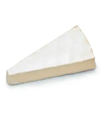 Queso Brie Bio 100 gr