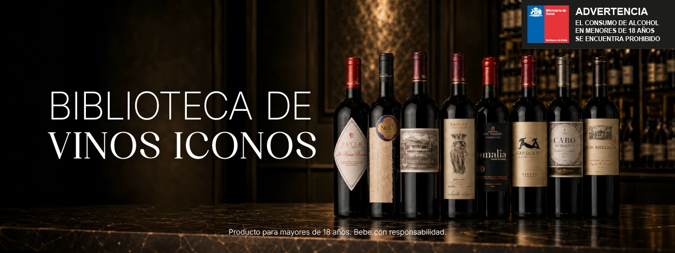 Oferta 13